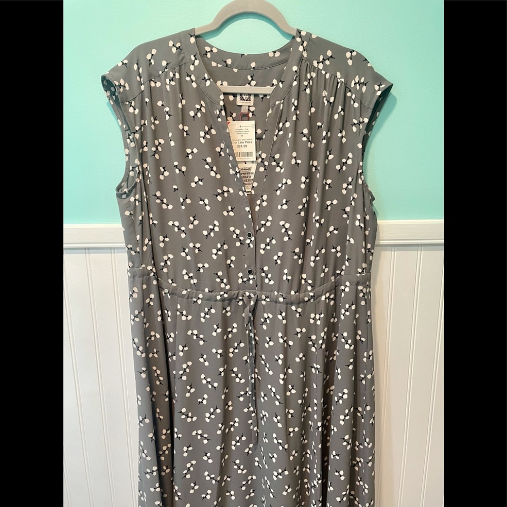 Women’s dress